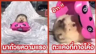 พี่มาแรงในทางตรง และจบลงด้วยการนอนตะแคง !! ( รวมฮาพากย์ไทย )