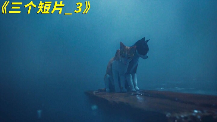 الهاتف المحمول هو الحياة