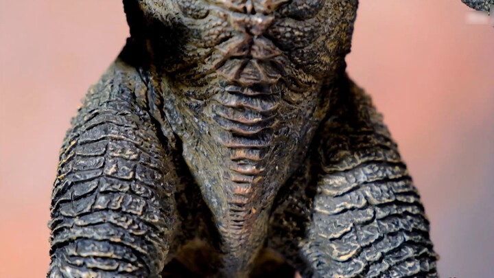 [Ume Man] 399 yuan! This is the correct way to enjoy Bandai Ichiban's "Godzilla"