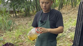 [Countryside Xiaoyu Brother] Please give three likes to the first video!