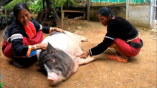 น้องรวยทำให้คนเฒ่าคนแก่ที่บ้านไม่เหงามีน้องรวยเป็นเพื่อน🤗👵🐖🐖🐖