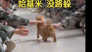就这样凹凸凹凸凹凸凹凸凹凸的路过所有人
