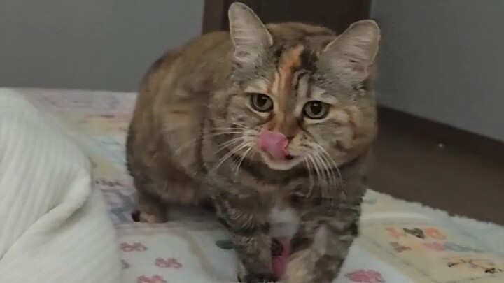 I’m here to see if Mommy is still alive.