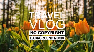 Joakim Karud - Thank You | Travel Vlog Background Music | Vlog No Copyright Music |Free To Use Music