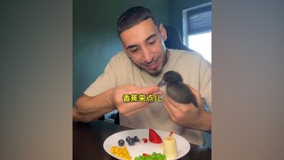 小哥花了一个月的时间孵鸭蛋，小鸭破壳后把他当成了亲妈，走到哪跟到哪