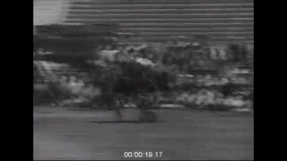 Rodeo in Los Angeles, 1940s - Archive Film 1066679