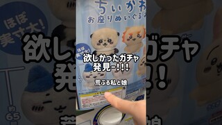 欲しかったちいかわガチャ見つけたので4回まわしてきたよ！ #shorts