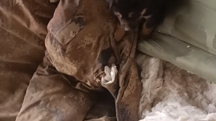 Tomorrow I'm heading down the mountain to go shopping—remind me quick, what do I need to buy?!