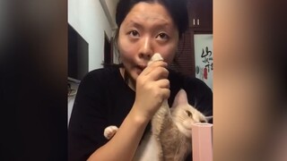 Meow meow meow? One look and you can tell it's an old tool cat.