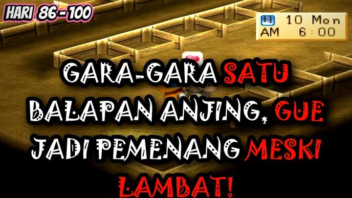 🏆 BALAPAN ANJING, GUE JADI PEMENANG MESKI LAMBAT!