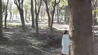 จักรพรรดินีทะลุมิติพลิกชะตา