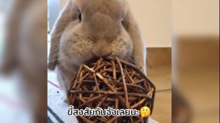 อยากรู้อยากเห็นอะไรน้าาา
