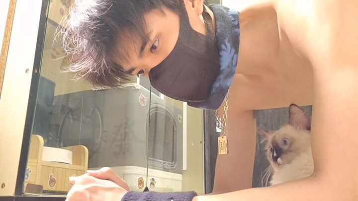 Tuan bilang seribu like dapat satu stik kucing!