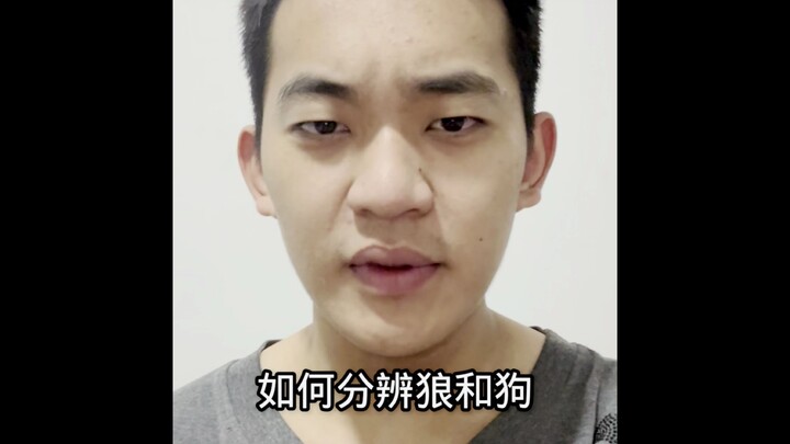 Teaching Naruto players how to tell wolves from dogs