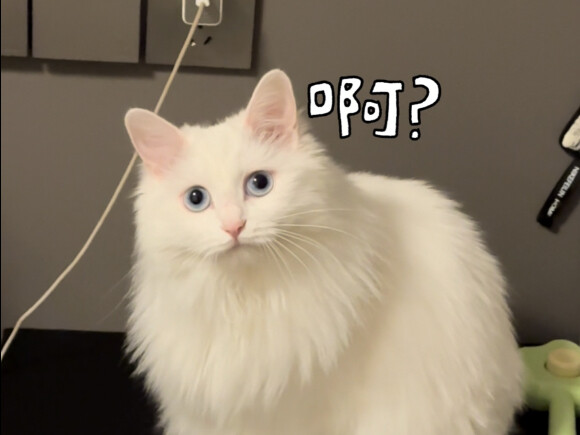Oh no! Pregnant? Pregnant?!