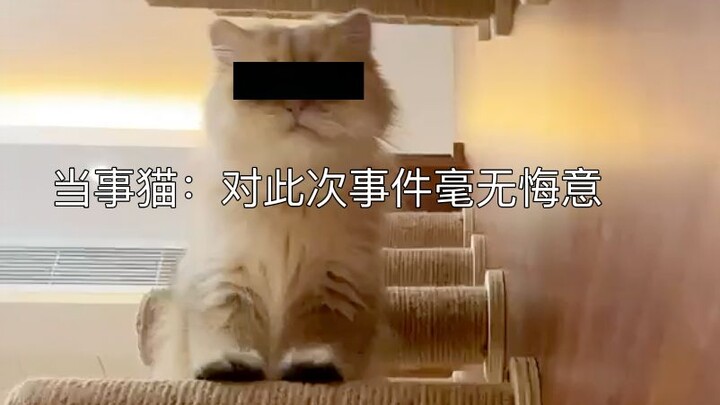A famous female celebrity threw a tantrum and assaulted her manager; video leaked…