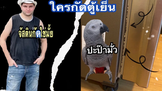 เมื่อปะป๊าเห็นตู้เย็นที่จัสตินกัดถึงกับโมโห จัสตินจะเอาตัวรอดยังไงล่ะทีนี้จัสตินนกพูดได้