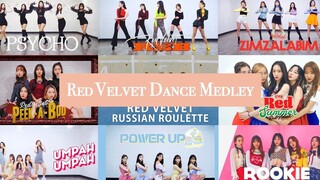 [MTY Dance Studio] Red Velvet 2016-2019 Dance Medley [Dance Cover]
