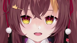 《V圈的毁灭》