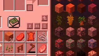 Ketika kehidupan MC saya dibuka kembali, itu dimulai sebagai bayi, dan setelah berusia 100 tahun, ternyata menjadi bencana #Minecraft Minecraft