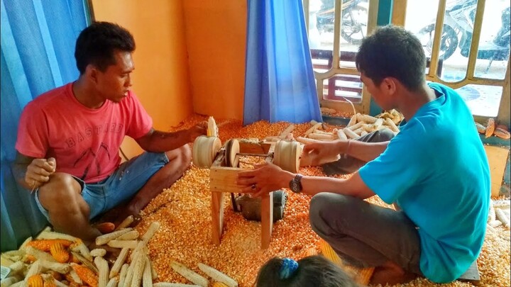 Alat Perontok Jagung Sederhana Cepat Bisa 2 Ton Sehari