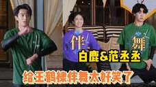 范丞丞白鹿给王鹤棣伴舞太好笑了!