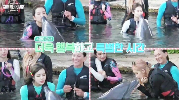 【Buku Harian Musim Panas BLACKPINK】Teaser Resmi 2019 Dirilis! Gak Sabar Banget!