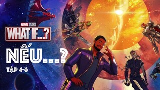 Ở đây có bán hoa sim và bán báo | Recap Xàm #253 : What If 4-6