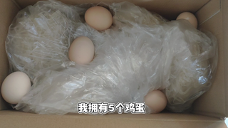 高贵冷艳的人类早餐