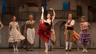 【Ballet】My collection of ballet goddesses' static balance and leg control