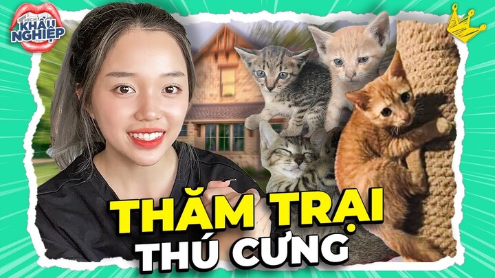 Bật mí dự án ĐẶC BIỆT và lý do LND nhận nuôi thêm Mèo | ĐŨY MÈO COLLECTION