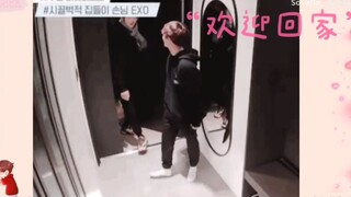 【ساحر البياض】 نظرة على الحلوى الكبيرة لهذه السنوات — الآن لن يجرؤ أحد على القول إنها علاقة إخوة! / م