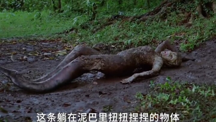 Bản Ấn Độ của Bạch Nương Tử: Ngàn dặm tìm chồng – “Dục Xà” rùng rợn, kinh dị