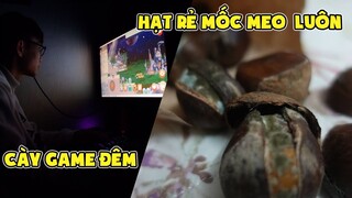 Ngọc Rồng Online - Quân Trốn Bố Mẹ Cày Game Đêm Và Ăn Phải Hạt Rẻ Mốc