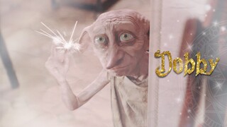 [HP/Dobby] I think this is the first thing that HP is not happy about.