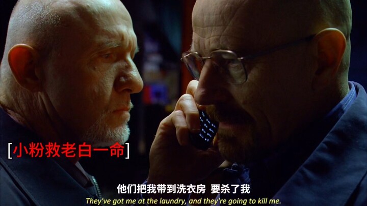小粉老白互救