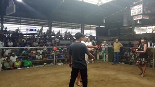 pa champ
