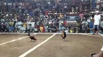 YLH FCI tatlong lipad Lang bilis Ng laban