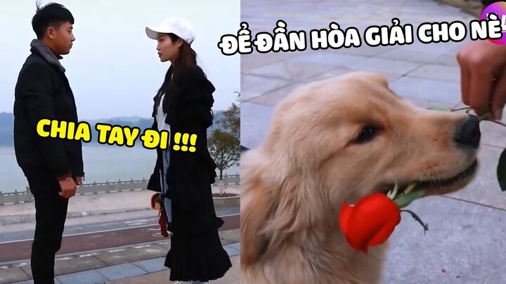 Đần Con Thông Minh | Bạn bị người yêu chia tay ư ? Đừng lo đã có Đần Con 😍 | Yêu Lu Official