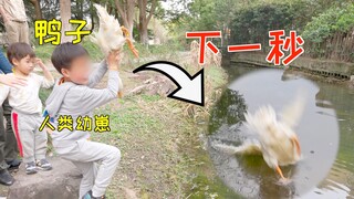 Saya tidak pernah menyangka kalau saya hampir menenggelamkan seekor bebek saat mengajarinya berenang