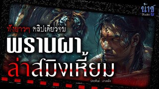 พรานผา.ล่าสมิงเหี้ยม (ตอนเดียวจบ) | นิยายเสียง🎙️น้าชู