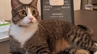 Fufu also received a special birthday gift today!