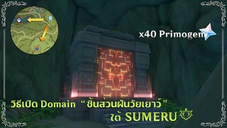 วิธีเปิด Domain "ชิ้นส่วนฝันแห่งวัยเยาว์" (x40 Primogems) ✦ Genshin Impact 3.0