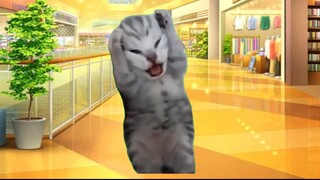 [Cat meme] Blue lock, what are you going to use to pay me back what you owe me!