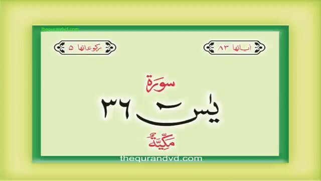 Surah Yasin/ surat Yasin with Urdu translation / Quran tilawat