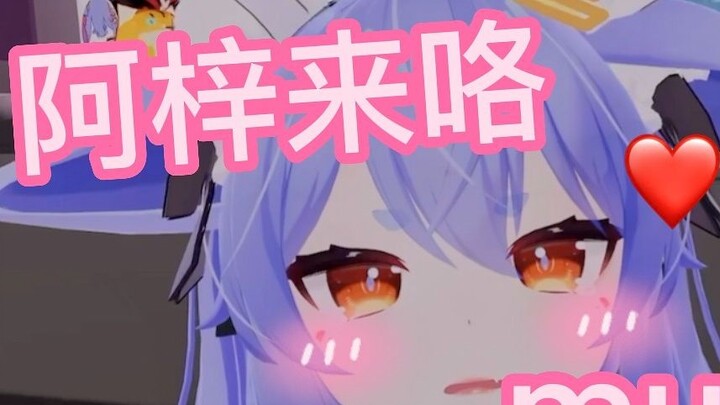 [Azi] Bạn có ở đó không? mua thử đi