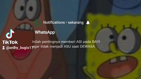 story wa