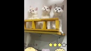 ลูน่า อีกละ🥰🥰🥰