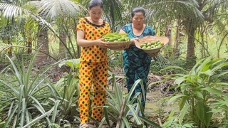 Thu Hoạch Các Loại Rau Vườn Cùng với Món Cá Chạch Kho Nghệ Ngon Bá Cháy| TKQ & Family T812