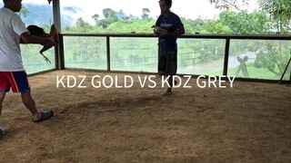 KDZ GF SPAR#AngatSarado #SaltoFeeds #SubokNaMagaling #TatakExcellence #ExcellenceInAction